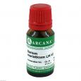 BARIUM MURIATICUM LM 6 Dilution