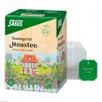 BAUERNGARTEN-Tee Haustee Kräutertee Salus Fbtl.