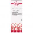 BELLADONNA C 12 Dilution