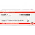 BELLADONNA D 12 Ampullen