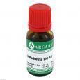 BELLADONNA LM 12 Dilution