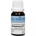 BELLADONNA Q 17 Lösung
