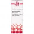BELLIS PERENNIS D 2 Dilution