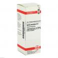 BELLIS PERENNIS D 3 Dilution