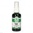 BENZOESPRAY