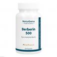 BERBERIN 500 Myo-Inositol & Piperin vegan Kapseln