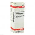 BERBERIS AQUIFOLIUM D 4 Dilution