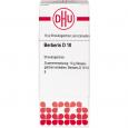 BERBERIS D 10 Globuli Ind.Fert.