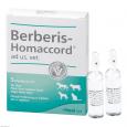 BERBERIS HOMACCORD ad us.vet.Ampullen