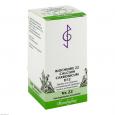 BIOCHEMIE 22 Calcium carbonicum D 12 Tabletten