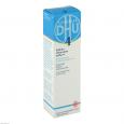 BIOCHEMIE DHU 4 Kalium chloratum N D 4 Salbe