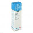 BIOCHEMIE DHU 6 Kalium sulfuricum N D 4 Salbe