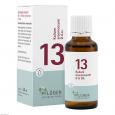 BIOCHEMIE Pflüger 13 Kalium arsenicosum D 6 Tropf.