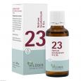 BIOCHEMIE Pflüger 23 Natrium bicarbonicum D 6 Tro.