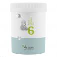 BIOCHEMIE Pflüger 6 Kalium sulfuricum D 6 Tabl.