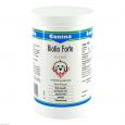 BIOTIN FORTE Pulver vet.