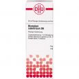 BISMUTUM SUBNITRICUM D 6 Dilution