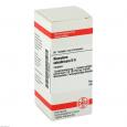 BISMUTUM SUBNITRICUM D 6 Tabletten