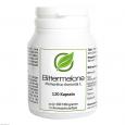 BITTERMELONE 400 mg Hartkapseln
