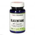 BLASENTANG GPH Kapseln