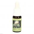 BLUE BERRY Cactus Essenz Tropfen