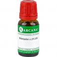 BLÜTENPOLLEN S LM 75 Dilution