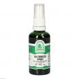 BLUTDRUCK SPRAY