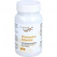BLUTZUCKER BALANCE Kapseln