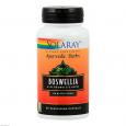 BOSWELLIA EXTRAKT 450 mg Weihrauch Solaray Kapseln