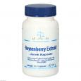 BOYSENBERRY Extrakt Junek Kapseln