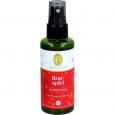 BRATAPFEL Raumspray Bio