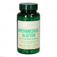 BRENNESSELBLÄTTER 250 mg Bios Kapseln