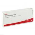 BRONCHI PLANTAGO Inject Ampullen