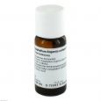 BRYOPHYLLUM ARGENTO cultum D 2 Dilution