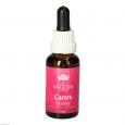 BUSH Carers Essence austr.Bushblüten-Mischung