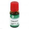CACTUS LM 6 Dilution