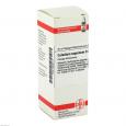 CALADIUM seguinum D 3 Dilution