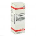 CALADIUM seguinum D 4 Dilution