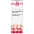 CALAMUS AROMATICUS D 3 Dilution