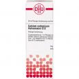 CALCIUM CARBONICUM Hahnemanni C 12 Dilution