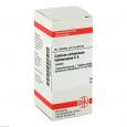 CALCIUM CARBONICUM Hahnemanni C 6 Tabletten