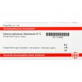 CALCIUM CARBONICUM Hahnemanni D 12 Ampullen
