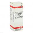 CALCIUM CARBONICUM Hahnemanni D 12 Dilution