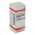 CALCIUM CARBONICUM Hahnemanni D 12 Globuli