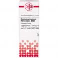 CALCIUM CARBONICUM Hahnemanni D 200 Dilution