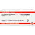 CALCIUM CARBONICUM Hahnemanni D 30 Ampullen