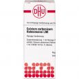 CALCIUM CARBONICUM Hahnemanni LM I Dilution