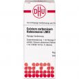 CALCIUM CARBONICUM Hahnemanni LM III Dilution