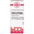 CALCIUM CARBONICUM Hahnemanni LM XXIV Dilution