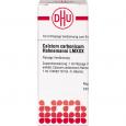 CALCIUM CARBONICUM Hahnemanni LM XXX Dilution